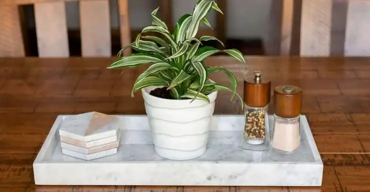 How to Clean a Marble Serving Tray Without Damaging It?